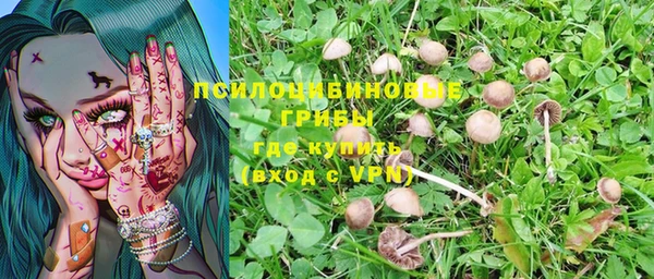 экстази Липки