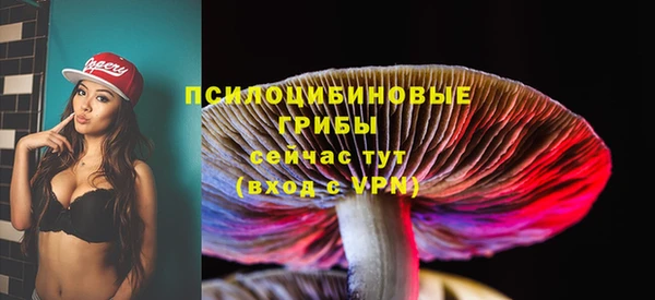 экстази Липки