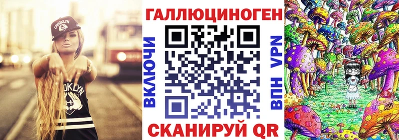 дарнет шоп  Грозный  Псилоцибиновые грибы мицелий 