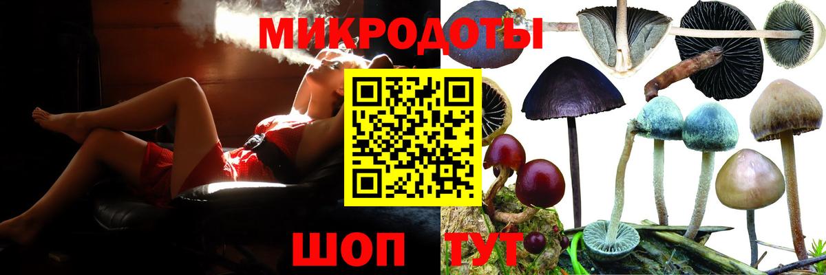 Псилоцибиновые грибы Cubensis  Вход с VPN  Грозный  Псилоцибиновые грибы прущие грибы 